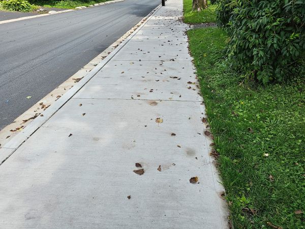 Cost of Sidewalk Renovation in Huntington Station